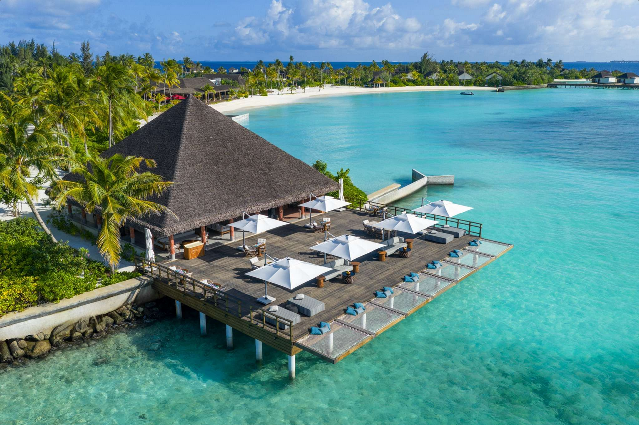 Cocoon · Day-to-night café & bar · 10am to 1am